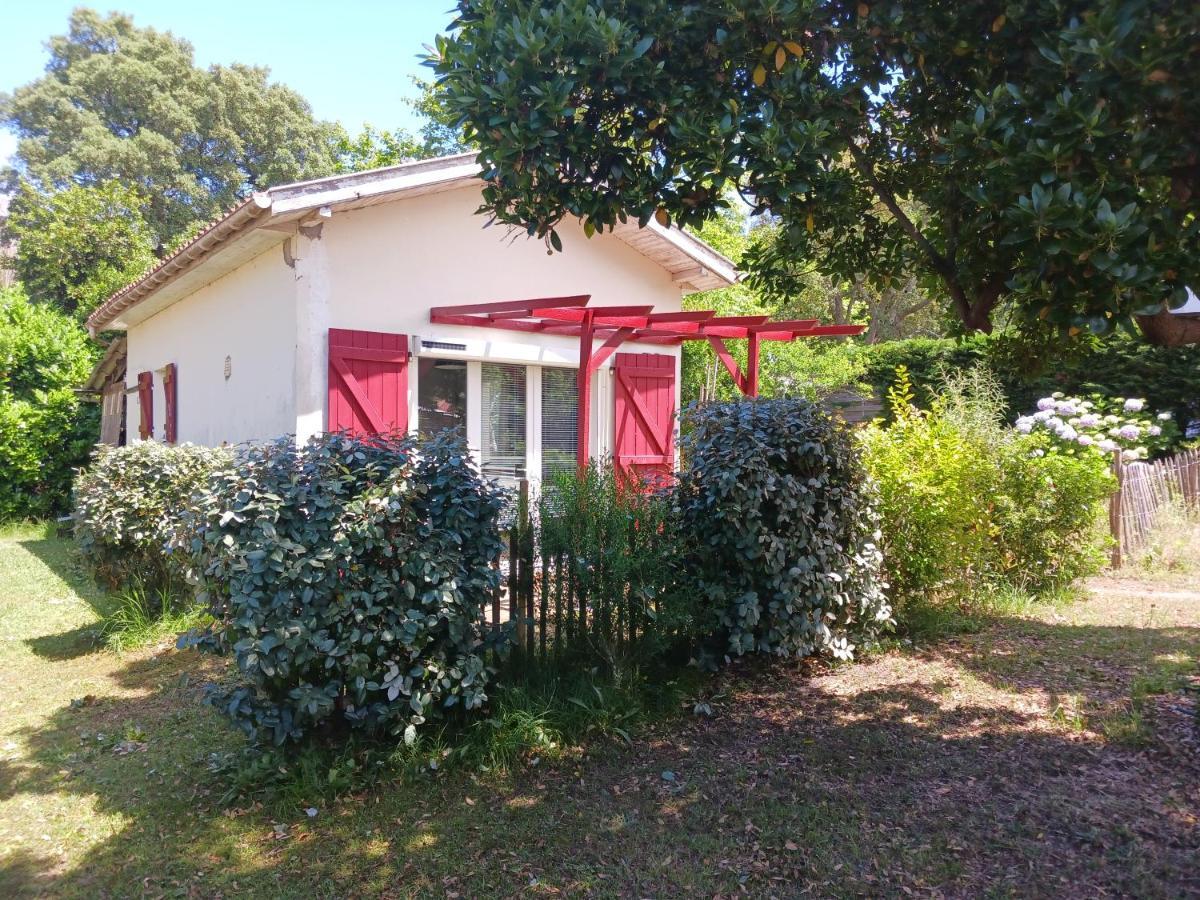 Maisonnette Proche De La Plage Tarnos Exterior foto